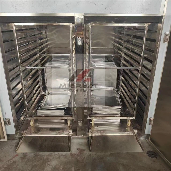 vegetable and fruit drying equipment (3)