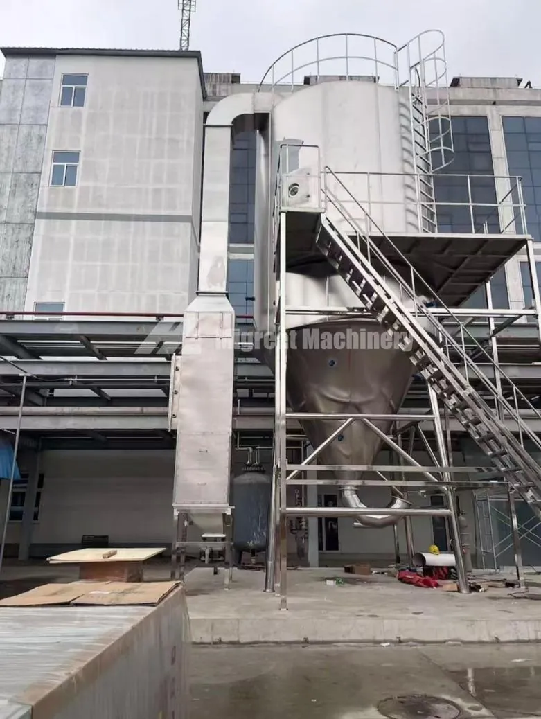 LPG spray dryer tower with stairs on site